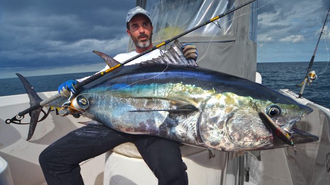 Best Lures For Mahi-Mahi & Blackfin Tuna (And How To Troll With Them)