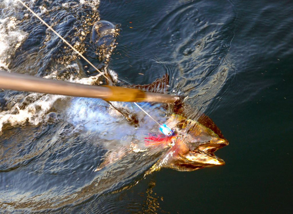 Back to Basics: Offshore trolling for dummies