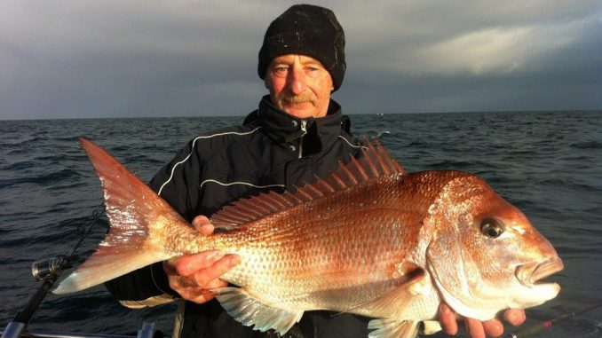 Snapper and the great rig debate