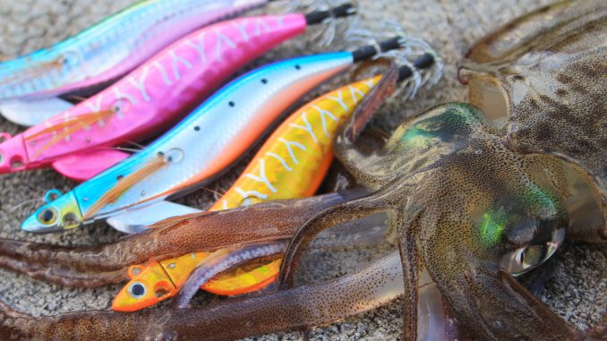 What worth: value for squid jigs
