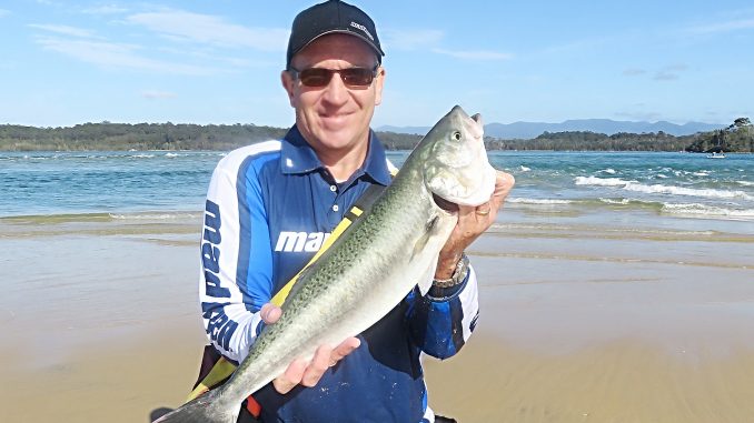 Fishing Monthly Magazines : Spinning the surf for salmon
