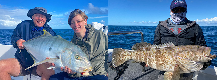 Giant record suze toadfish caught fishing in I hervey bay