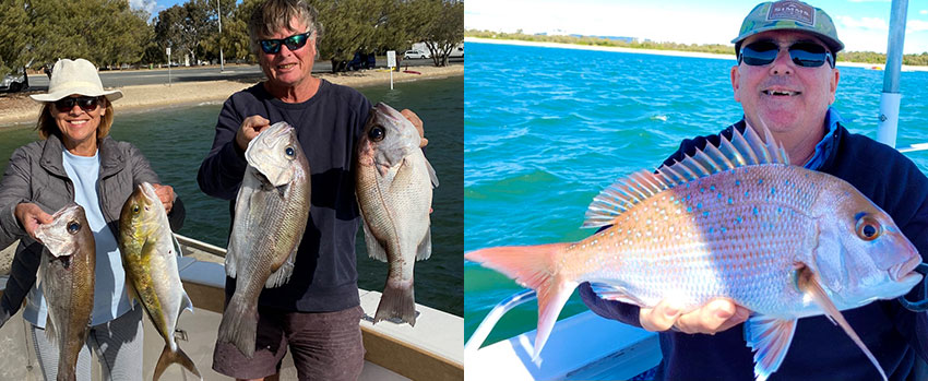 Coomera & Gold Coast Fishing Report (& How to Throw a Cast Net) - Bush 'n Beach  Fishing Magazine